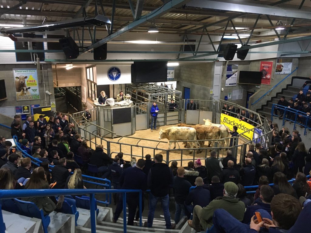 ANM Christmas Classic Stock Judging The results Scottish